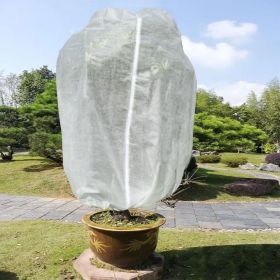 96inch*96inch Rectangular zippered greenhouse bags for plant protection offer protection from cold, wind, and insects